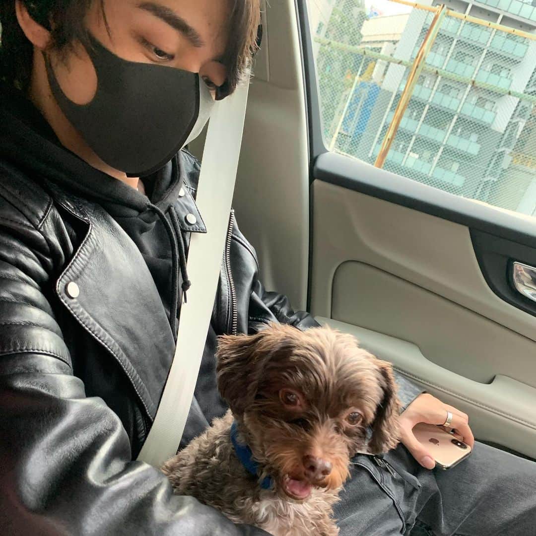 のインスタグラム：「#息子と犬 #僕たち #兄弟  ぐっちゃんはオレの方が 上だと思ってる🐕 #チワプー#ミックス犬#ペット#犬のいる暮らし #うちの子」