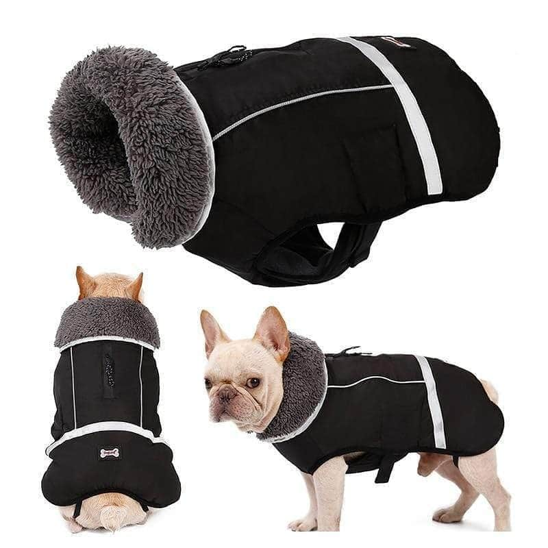 French Bulldogさんのインスタグラム写真 - (French BulldogInstagram)「Waterproof French Bulldog Parka 🌨🌧🏞 Exclusive in @frenchie.world shop 🛍🛍🛍 👉 LINK IN BIO 🔝 . . . . . #frenchbulldog #french_bulldogs #frenchie #frenchies #frenchieworld #frenchbulldoglife #frenchbulldoglove #frenchiesofinstagram #frenchie_photos #frenchielove #frenchielovers #frenchiemagazine #ブヒブヒ倶楽部公式 #フレンチブルドッグ #フレンチブルドッグパイド #フレンチブルドッグブリンドル #多頭飼い #犬服 #犬服ハンドメイド #どんぐり帽子 #ベアーボア帽」12月13日 4時42分 - frenchie.world