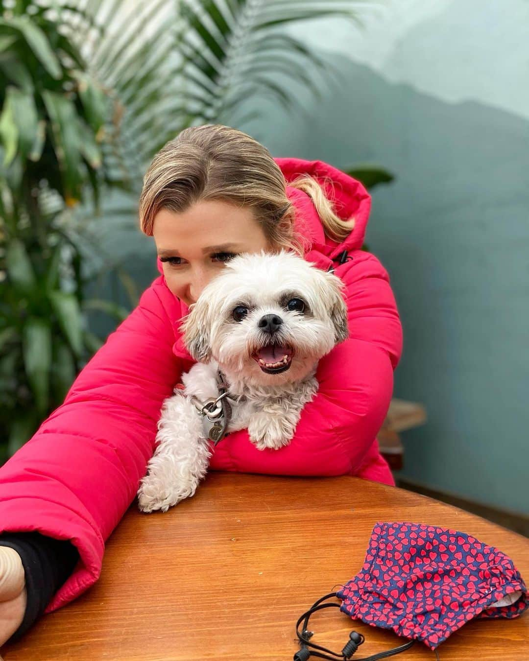 カーステン・ムーア＝タワーズさんのインスタグラム写真 - (カーステン・ムーア＝タワーズInstagram)「When you see the server coming with your food 😋🐶 • #brunch #saturdaybrunch #thewateringcan #plants #thewateringcanflowermarket #shitzhu」12月13日 4時52分 - kirsten_mt