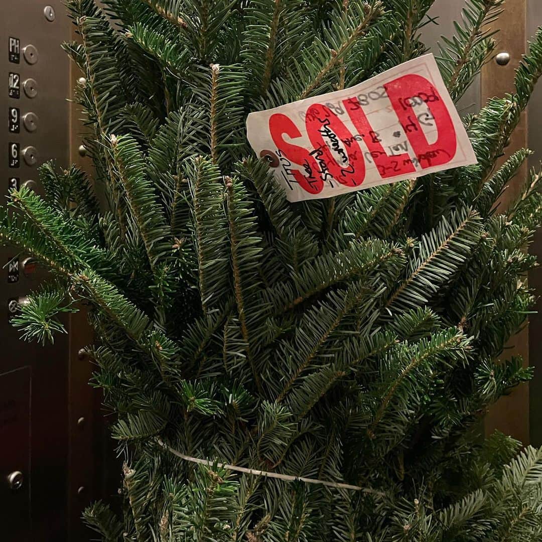 オランピアルタンのインスタグラム：「Mine 🏷🎄🥰 #tree PS: sorry for the confusing message (Hanukkah celebrations / Xmas decorations...) some people are multicultural. I am one of those people ✡️🎄🤷🏻‍♀️ PPS: the SOLD tag is staying on as an ornament #upcycling」