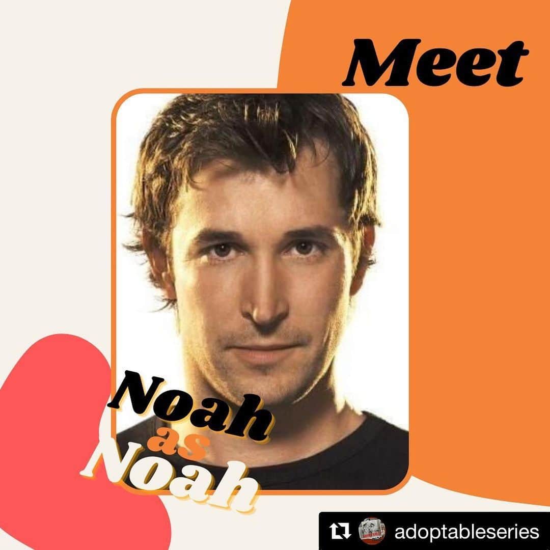 のインスタグラム：「#Repost @adoptableseries with @get_repost ・・・ Noah Wyle is best known for his role as John Carter in the television series ER (1994–2009), which earned him nominations for three Golden Globe Awards and five Primetime Emmy Awards. He is also known for his roles as Flynn Carsen in the Librarian franchise (2004–2018) and Tom Mason in the television series Falling Skies (2011–2015). He has appeared in films such as A Few Good Men (1992), Pirates of Silicon Valley (1999), Donnie Darko (2001), and W. (2008).. Watch @therealnoahwyle as "himself" on @adoptableseries now on @starbabynetwork」
