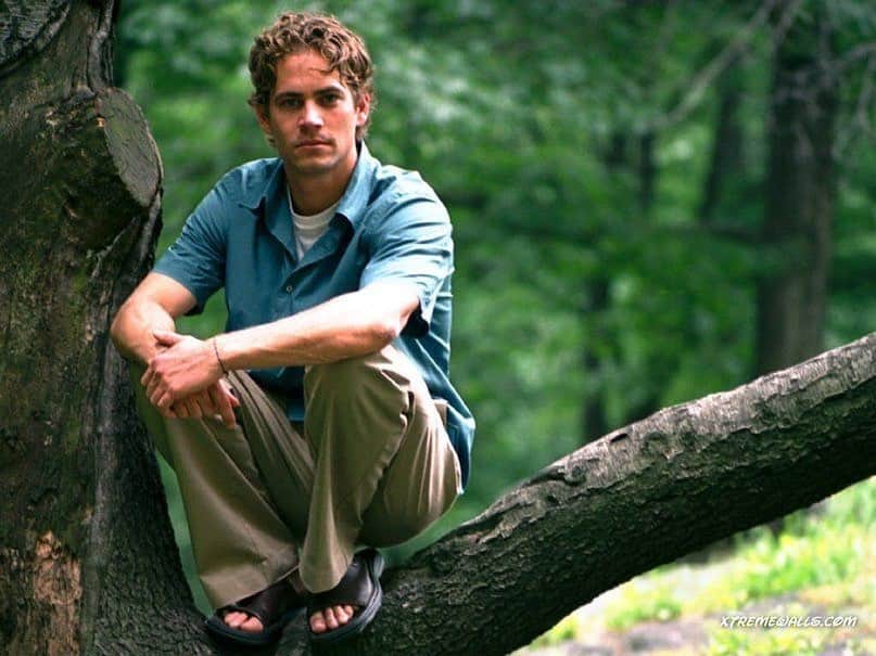 ポール・ウォーカーのインスタグラム：「“Look deep into nature, and then you will understand everything better.” - Albert Einstein ⁣ ⁣ #TeamPW」