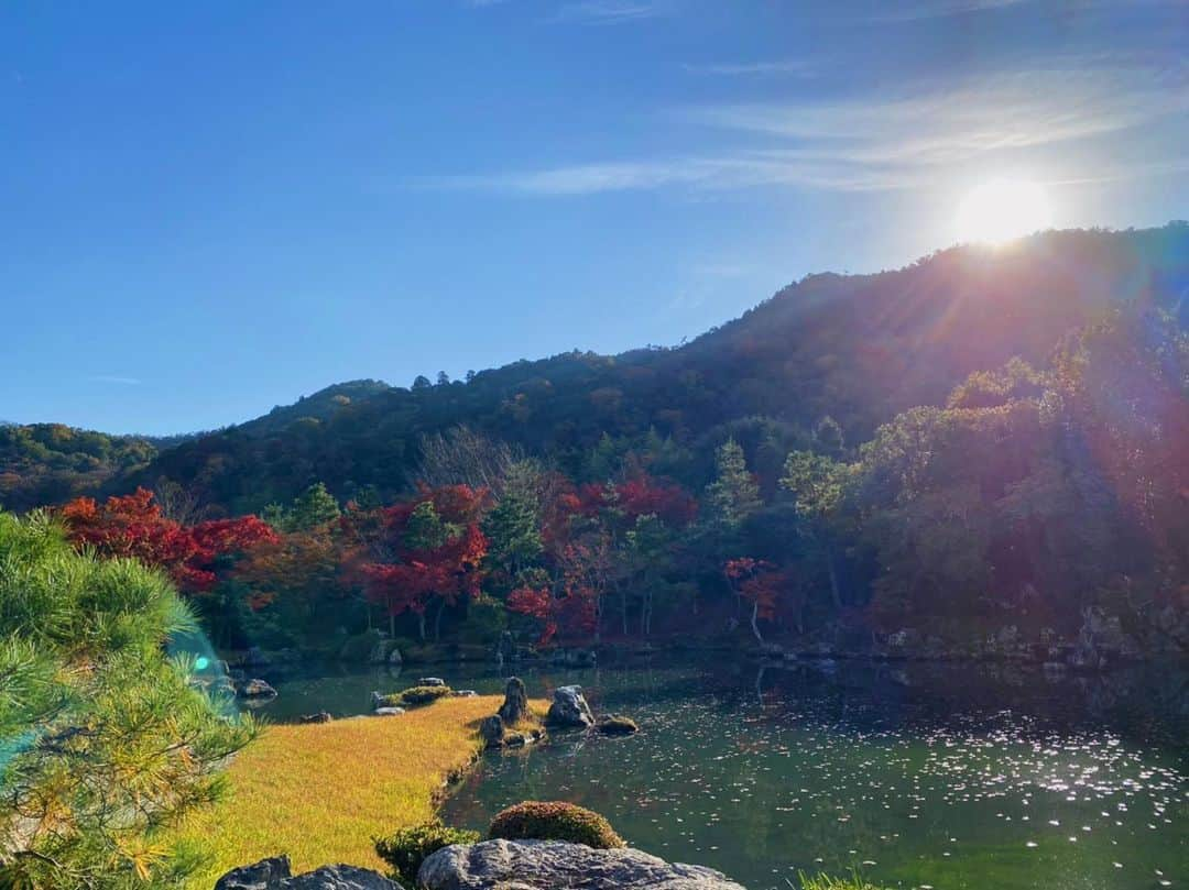 押尾学さんのインスタグラム写真 - (押尾学Instagram)「rise and shine✨ #goodmorning #photography #photooftheday #instaphoto #instagood #nature」12月13日 7時56分 - manabuoshio_official