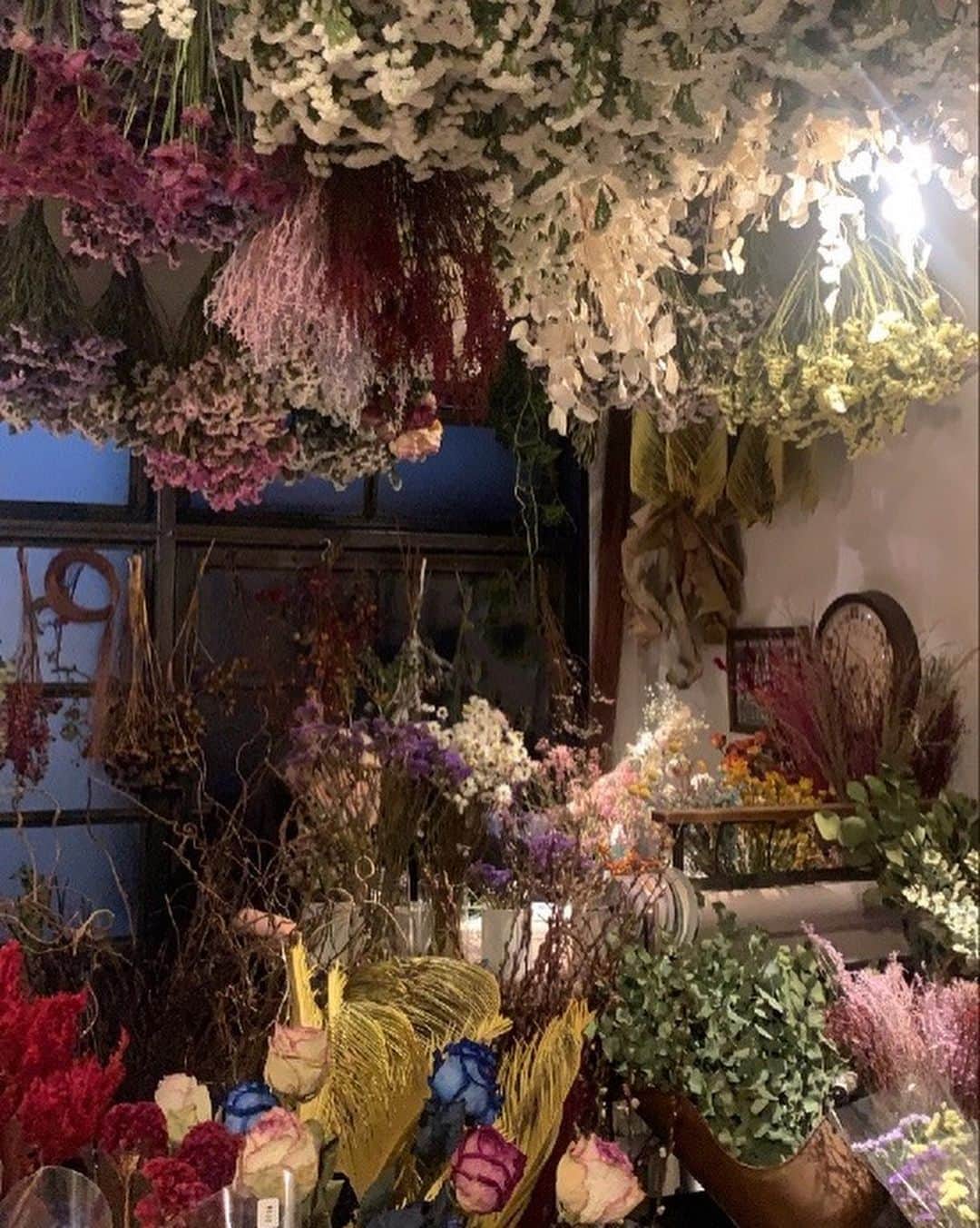 TOKOさんのインスタグラム写真 - (TOKOInstagram)「京都にすっごくかわいいドライフラワー屋さん見つけた🥺❤️❤️  #1eretage」12月13日 19時06分 - toko______
