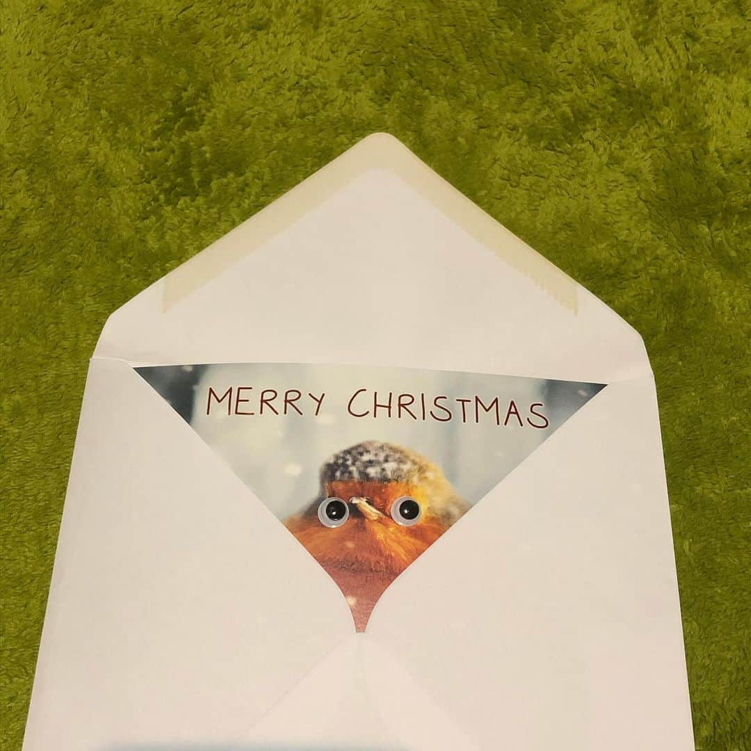 馬場典子さんのインスタグラム写真 - (馬場典子Instagram)「お友達がくれたクリスマスカード。 送る準備をしていたら胸キュンの視線が😆💕」12月13日 17時42分 - baba_channel