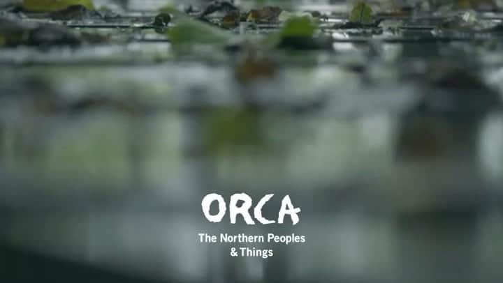 ハミルのインスタグラム：「. . 毎週日曜ポストさせて頂いております 北の偏愛プロジェクト ”ORCA,The Northern Peoples &Things” @orca_the_northern_peoples  . 今回はこの晩夏に撮影させて頂いた 白老の”Tobiu 芸術祭” @tobiucamp  . 現代美術家の国松希根太さん達 @kinetakunimatsu にお話をお伺いし、 美しい雨のトビウとなりました。 . ORCA、編集チームの土台が出来つつあります！ .  Director of Photography :﻿ otocam/Takuya Kakimoto ﻿ @otocam_camera  Edit of Movie/ Sae  Kuratate @saekuratate  制作: ORCA . ORCA  企画編集　 @drift.ice.books @untappedhostel  @_araki_  @wakacotocoto   動画編集 @saekuratate  撮影 @otocam_camera  . 連載 北の少数民族のクラフト　@hokuthima  根室便り　@rt_s  The north culture @daisukeoguchi  . チームビルドも良い感じです！ . 来年の展開も今から楽しみです。 みなさま、応援よろしくお願い申し上げます。 . #orca #orca_the_northern_peoples  #tobiucamp  #飛生アートコミニュティ #国松希根太 #otocam #クラタテサエ」