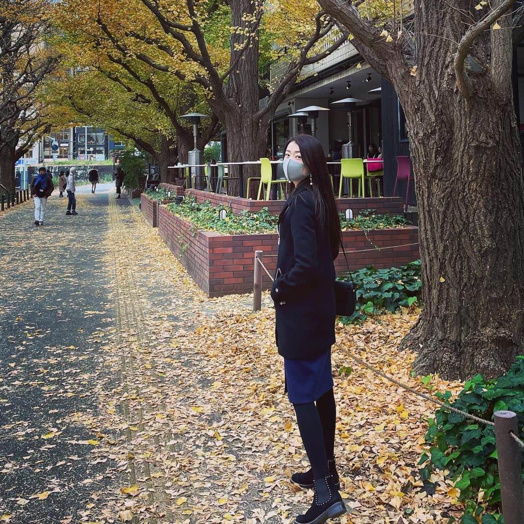 木谷有里さんのインスタグラム写真 - (木谷有里Instagram)「神宮外苑いちょう並木🍁 ちょっとお散歩🚶‍♀️✨  #神宮外苑　#神宮外苑いちょう並木 #いちょう　#東京　#tokyo #gingko #gingkotree」12月13日 18時34分 - kitani_yuri