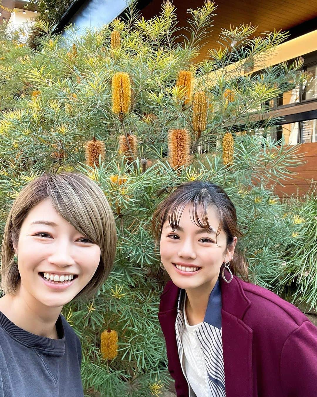 狩野舞子さんのインスタグラム写真 - (狩野舞子Instagram)「・ この前ほっちにバッタリ会ってビックリ🤣笑 とうもろこしみたいなのがたくさんなってる木の前で記念撮影したよ🌽笑 まさにビックリコーン🌽！！ ・ いつ何時会っても可愛いなぁおい〜 @honamitsuboi  ・ #東京のど真ん中でバッタリ #バッタリコーン #🌽」12月13日 18時51分 - kanochan715