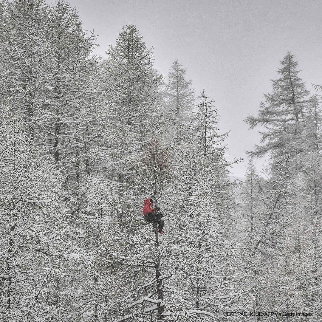 ABC Newsさんのインスタグラム写真 - (ABC NewsInstagram)「A coach sits in a tree to watch the race during the FIS Alpine World Cup Men Super G on December 12, 2020 in Val d'Isere, French Alps. #snow #winter #skiing」12月13日 19時00分 - abcnews
