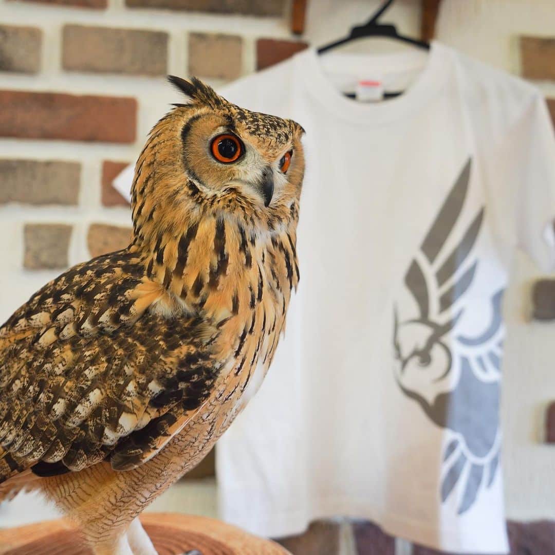 GEN3 Owlのインスタグラム：「ガルーのシンボルが大きくプリントされたカッコいいTシャツは遠くからでもバッチリ目立ちます。 ▼詳細はYouTubeまたはストーリーからスワイプアップしてね The T-shirt with the large Garu symbol printed on it looks good even when viewed from a distance. ▼Swipe up from Story and YouTube for details.」