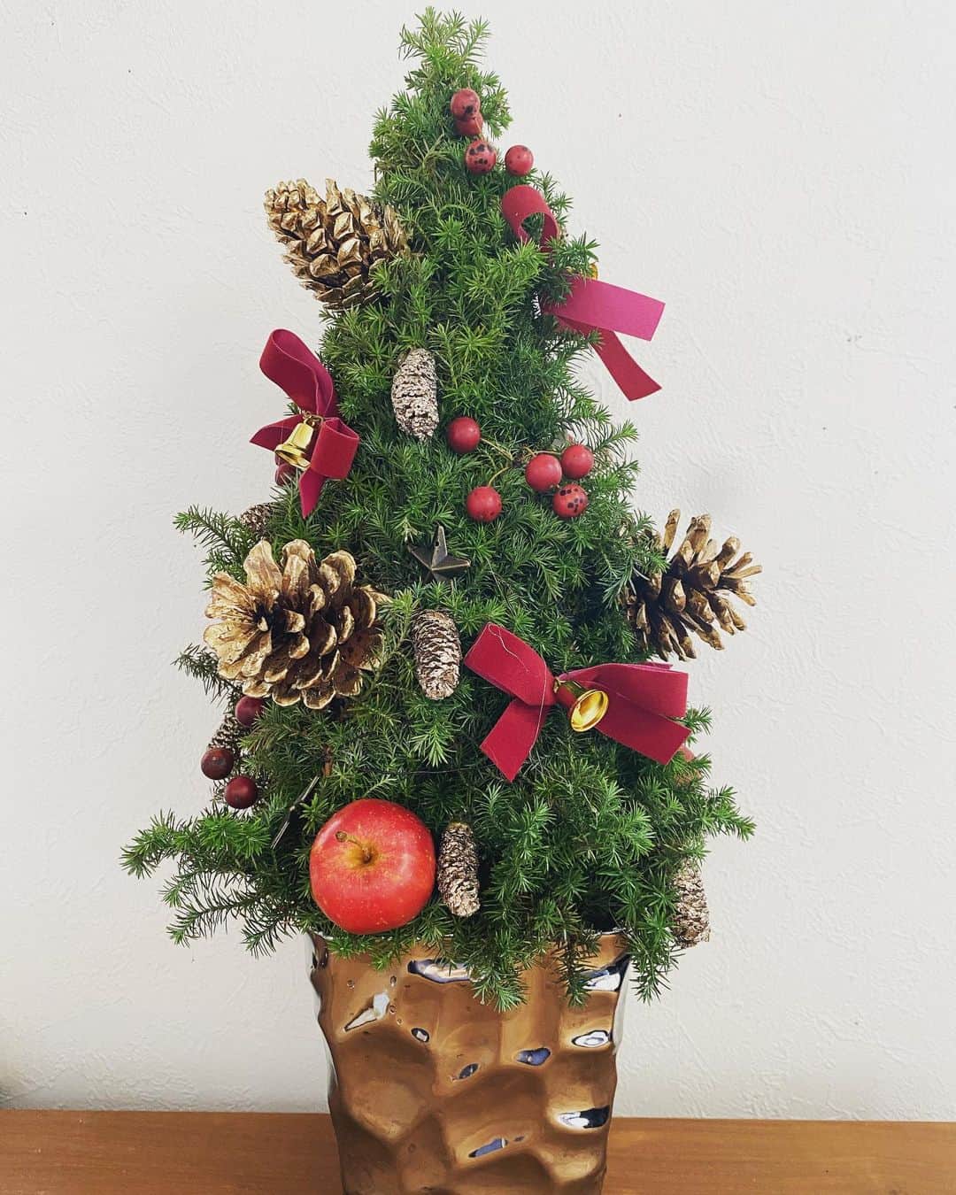 田添菜穂子さんのインスタグラム写真 - (田添菜穂子Instagram)「昨日、パイプオルガンの響きでクリスマス気分いっぱいになったので今朝、お花屋さんの前を通ったら買っちゃいました😊✨  #christmastree #クリスマスツリー」12月13日 10時57分 - nahokotazoe