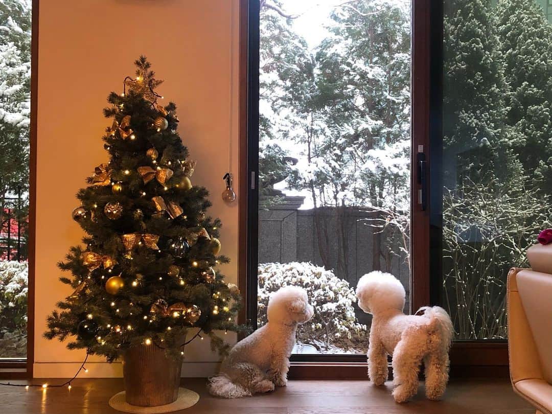 シン・セギョンのインスタグラム：「☃️」
