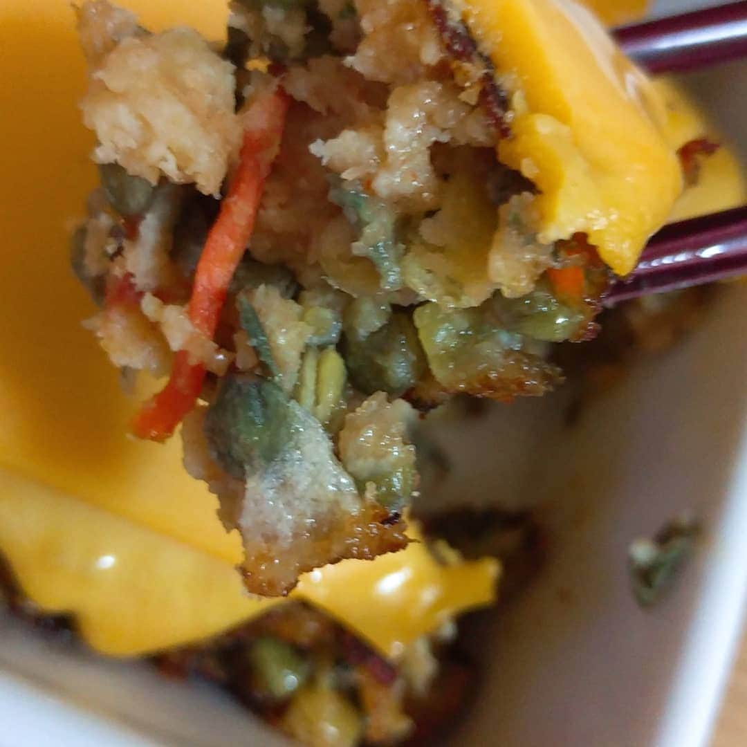 渡辺智子さんのインスタグラム写真 - (渡辺智子Instagram)「これすごい。 お肉を使っていないハンバーグ。 豆や人参などからできてるよ！」12月13日 11時06分 - marvelous__tomoko_watanabe