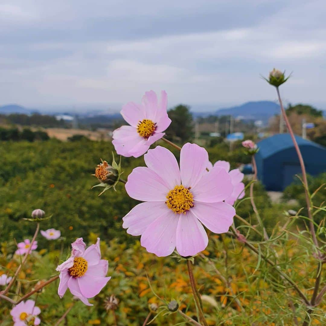 ヤン・セヒョンさんのインスタグラム写真 - (ヤン・セヒョンInstagram)「으~아악앜아아아!!??()(!!?)(*%_」12月13日 11時53分 - ysh6834