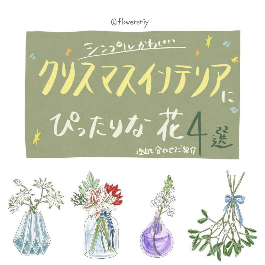 TRILL公式編集部アカウントさんのインスタグラム写真 - (TRILL公式編集部アカウントInstagram)「🎄クリスマスインテリアにぴったりなお花🎄 ㅤ 今回は @flowereriy さんのご投稿より、 クリスマスの飾り付けに合うお花をご紹介します！ ㅤ ぜひチェックしてみてください！ ㅤ 𝕊𝕡𝕖𝕔𝕚𝕒𝕝 𝕥𝕙𝕒𝕟𝕜𝕤 𝕥𝕠 @flowereriy さん  ㅤ クリスマスといえば赤×緑の印象がありますが、 最近のさっぱりした色合いのインテリアに ぴったりなお花を集めてみました😊✨ ㅤ もちろん王道なクリスマス系も可愛いんですけど、 ゴールドや茶、グリーン系をメインとしたインテリアに 馴染むような色合いです☺️✨ ㅤ 特に、アマリリスはユリの冬限定仕様！みたいな 華やかで高価なお花で、こういう特別感な イベント時にはぴったり💓  ㅤ ————————————————————— TRILL公式アプリでは恋愛、ファッション、 コスメ、レシピ、ライフスタイルなど、 オトナ女子の「知りたい」を毎日発信中💌 アプリダウンロードは @trill プロフィールから💐 ————————————————————— #TRILL #トリル #大人女子 #オトナ女子 #オトナ可愛い #アラサー女子 #ol女子 #暮らし #丁寧な暮らし #花のある生活 #ヤドリギ #北欧インテリア #クリスマス飾り #クリスマス #クリスマスインテリア #花言葉 #一人暮らし部屋 #一人暮らしインテリア #マイホーム #マイルーム #インテリア #すっきり暮らす #おうち時間」12月13日 11時50分 - trill