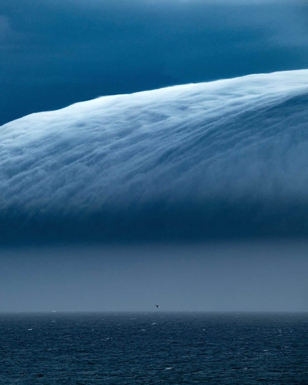 Nikon Australiaさんのインスタグラム写真 - (Nikon AustraliaInstagram)「"Like a mountain rising out of the sea, this rare roll cloud formation dominated the coastline. I was lucky to capture a gannet flying by for some perspective. Can you see him?" - @willeadesphotography   Camera: Nikon Z 7 Lens: NIKKOR 70-200mm f/4 w/ FTZ Adaptor Settings: 200 mm  f/8  1/250s  ISO 100  #Nikon #MyNikonLife #NikonAustralia #StormPhotographer #StormChasers」12月13日 12時00分 - nikonaustralia