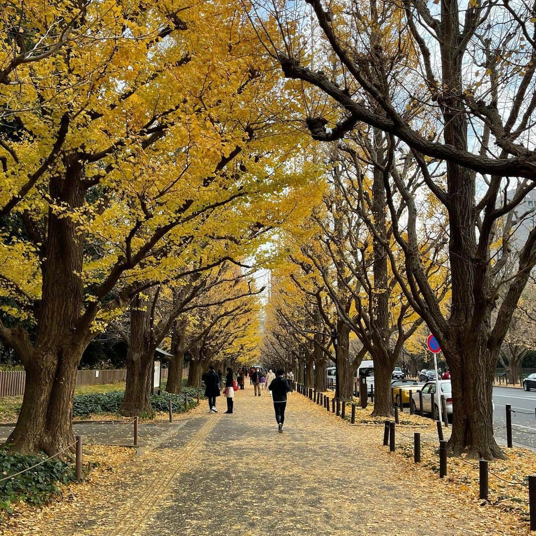 安倍宏行さんのインスタグラム写真 - (安倍宏行Instagram)「#外苑前　#銀杏並木　まだ見れました。」12月13日 12時24分 - higeabe
