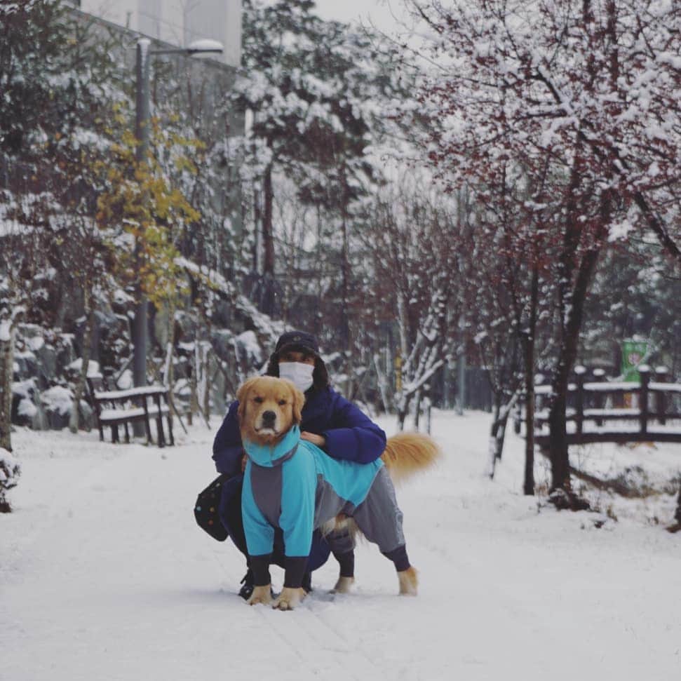 ムン・ジョンヒさんのインスタグラム写真 - (ムン・ジョンヒInstagram)「#마누 #manu #첫눈기념 #추억만들기 #즐거운우리 #한마음 #사랑하는사이 #행복하개   함께 걸어가는 길~~ 가족♡♡♡♡」12月13日 12時58分 - jeonghee_moon