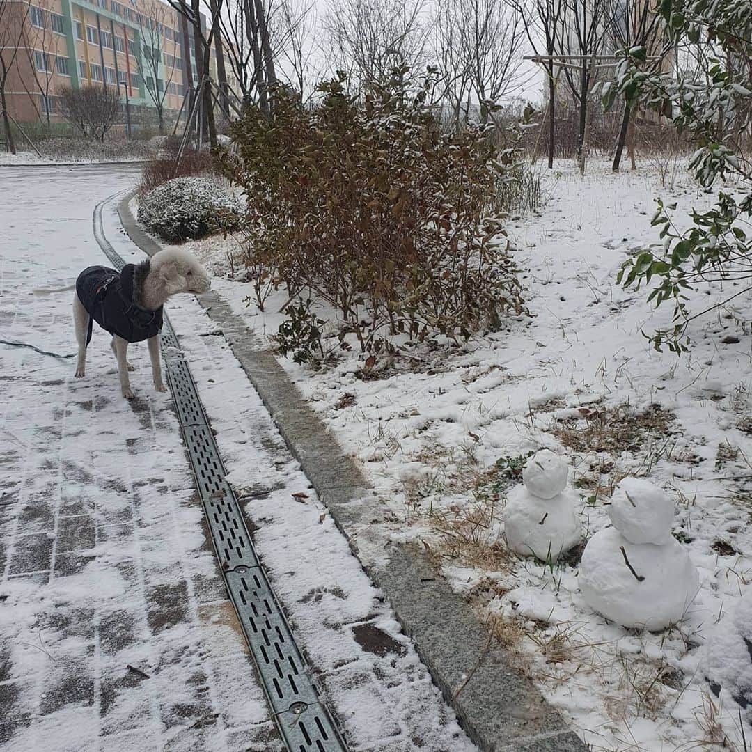 パク・ジュヒョンさんのインスタグラム写真 - (パク・ジュヒョンInstagram)「Winter is coming☃️」12月13日 12時58分 - qkrwngud