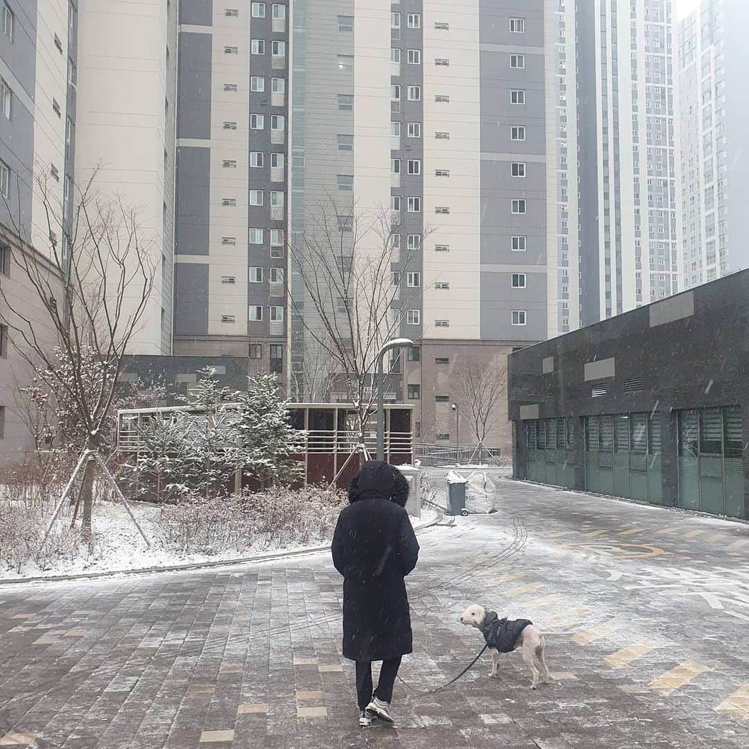 パク・ジュヒョンさんのインスタグラム写真 - (パク・ジュヒョンInstagram)「Winter is coming☃️」12月13日 12時58分 - qkrwngud