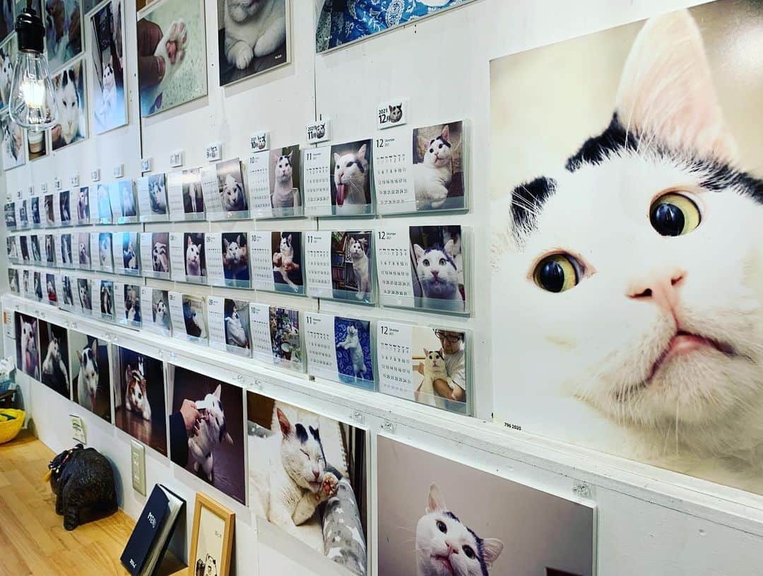 Kachimo Yoshimatsuのグルメインスタ