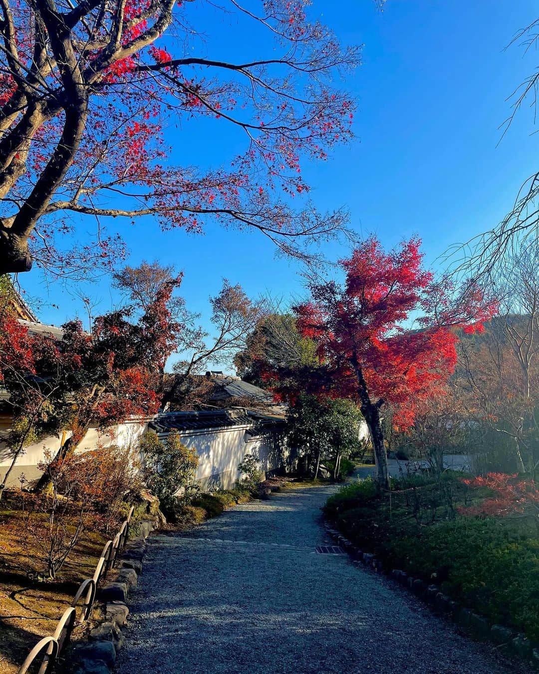 KSUKEさんのインスタグラム写真 - (KSUKEInstagram)「Such a beautiful city Kyoto🍁」12月13日 13時31分 - ksuke_jpn