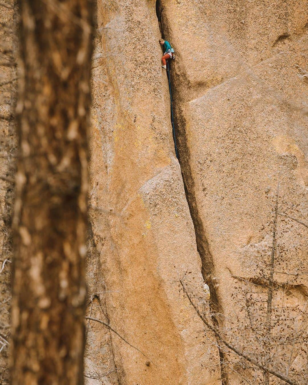 Mammutさんのインスタグラム写真 - (MammutInstagram)「Some impressions from "First Ascent, Last Ascent", one of the films in this years @reelrock featuring our athlete @madeleine_cope and good friend @hazel_findlay as they go in search of new routes in Mongolia.  AVAILABLE TO STREAM ONLY UNTIL Monday, December 14th 9:00pm EST. Check out the link in our bio to get your tickets!  #climbinglife #climbingtrip #tradclimbing #climbingrocks」12月13日 19時12分 - mammut_swiss1862