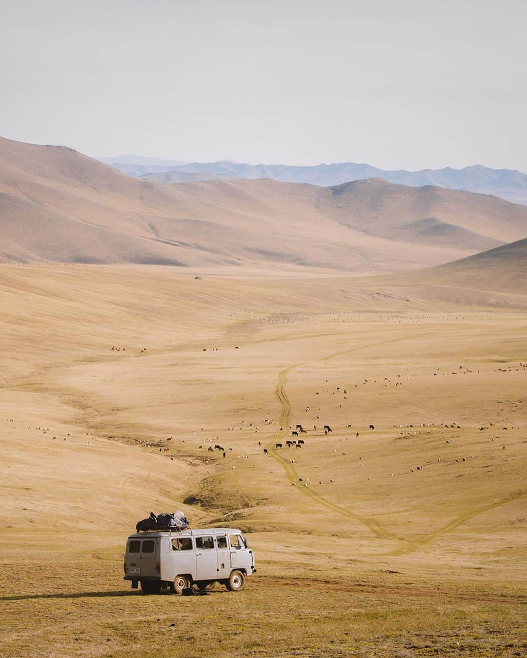 Mammutさんのインスタグラム写真 - (MammutInstagram)「Some impressions from "First Ascent, Last Ascent", one of the films in this years @reelrock featuring our athlete @madeleine_cope and good friend @hazel_findlay as they go in search of new routes in Mongolia.  AVAILABLE TO STREAM ONLY UNTIL Monday, December 14th 9:00pm EST. Check out the link in our bio to get your tickets!  #climbinglife #climbingtrip #tradclimbing #climbingrocks」12月13日 19時12分 - mammut_swiss1862