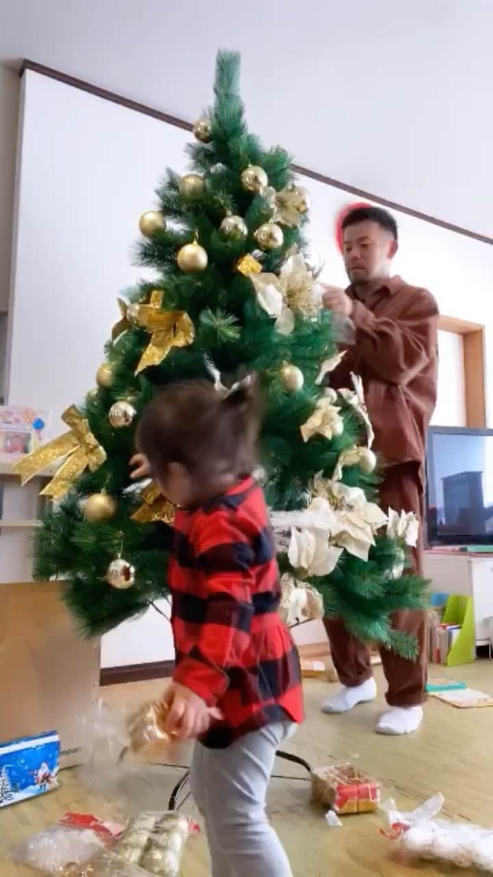 SONNYのインスタグラム：「It’s that time of the year. Our new tree has arrived🎄✨🆕  我が家に新しいツリー到着」