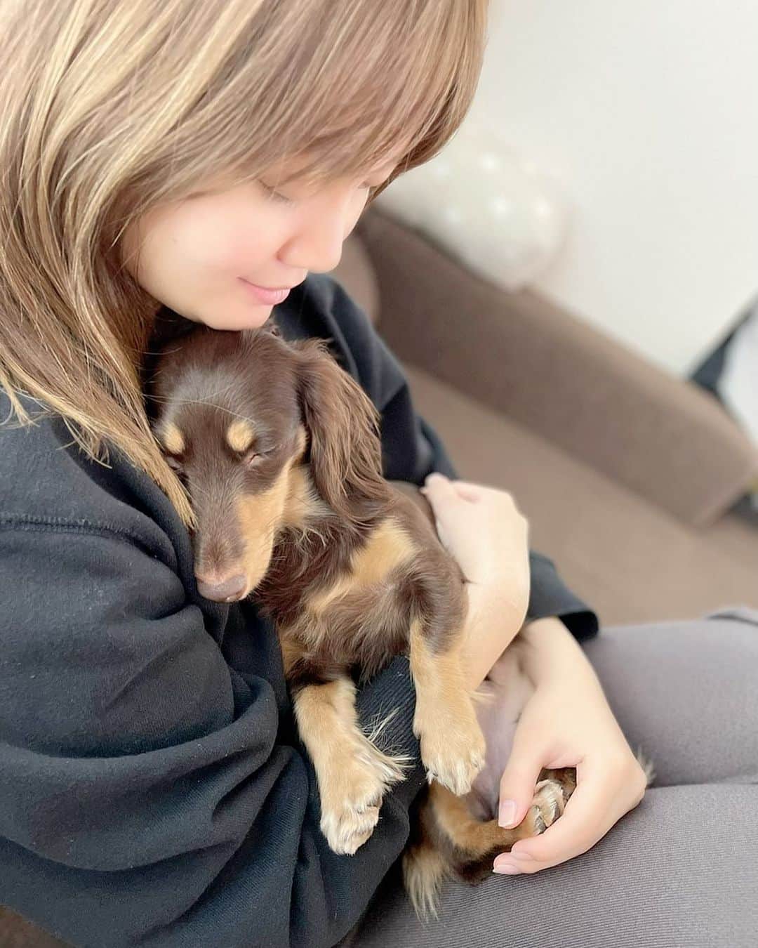 のインスタグラム：「❤︎ 抱っこしてたら寝ちゃった☆ 可愛すぎるさらちゃん🐶💕 甘えん坊でいつも膝の上か隣にぺたっとくっついて寝るの🌙.*·̩͙ めろめろです💓 * #愛犬 #愛犬との暮らし #カニンヘンダックスフンド #1歳8ヶ月 #犬 #犬のいる生活 #🐶 #私の格好は気にしないで 笑」