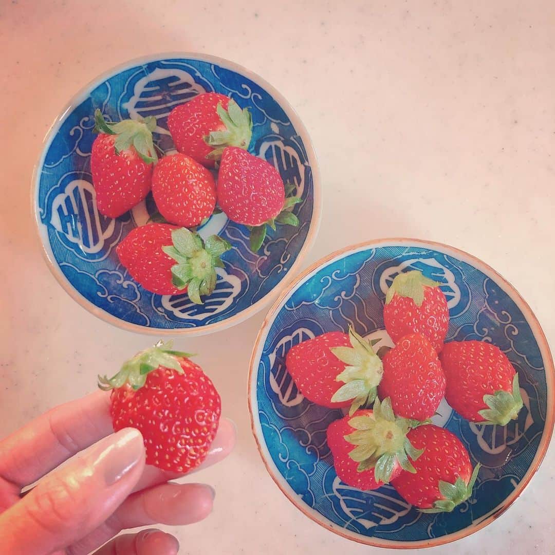 小畑由香里のインスタグラム：「✤  いちごの季節がやってきた🍓  嬉しいなぁ。  毎食後に必ずフルーツを出すので、 切ったり剥いたりしなくてもいい いちごはありがたいっ❤️笑  好きで少しづつ集めてる この古伊万里の印判皿は 明治時代のもの。 アンティークの魅力に 目覚めた40代😆」