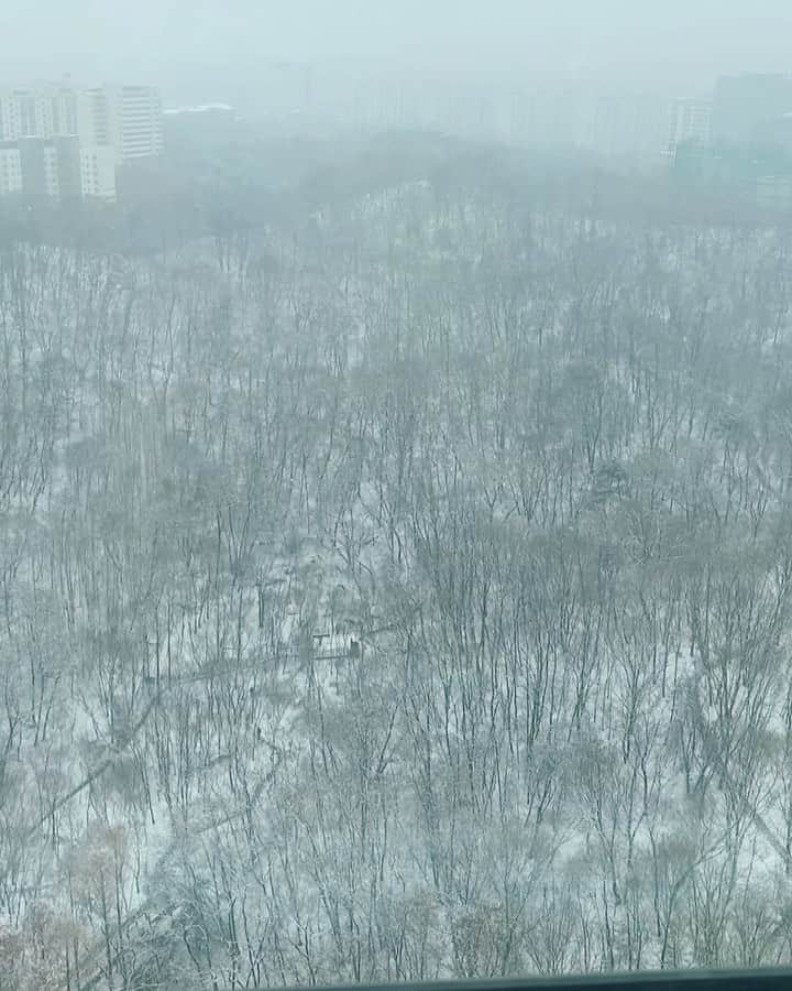 Dj Sodaのインスタグラム：「#첫눈 본사람?☃️❄️일어나자마자 첫눈이라니!!!!! #FirstSnow in Korea☃️❄️☃️❄️」