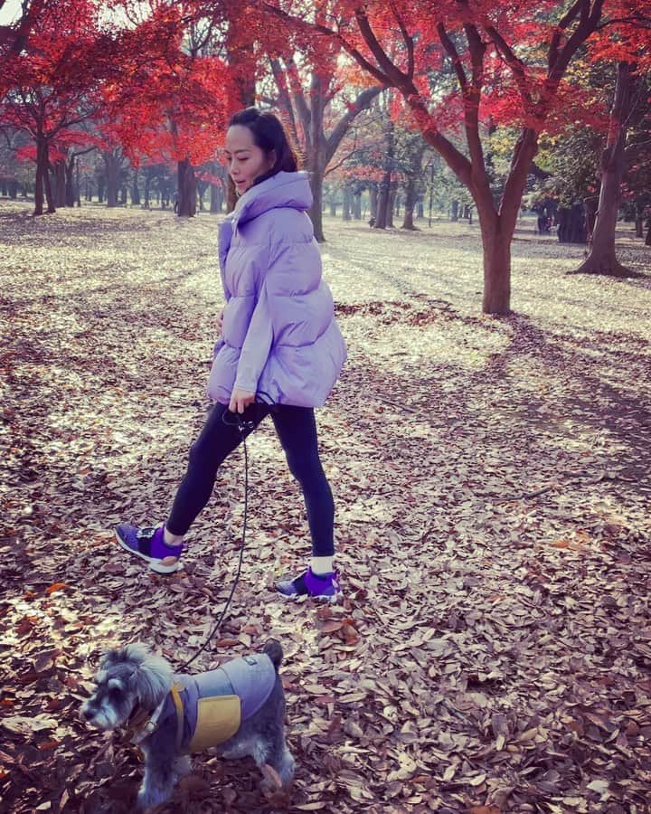 HiRAO INCのインスタグラム：「. 紅葉もそろそろ見納め🍁  マイランのポンチョ型ダウンが ちょうどよい気候  ソラもパープルのダウン 最近はパープルが気になる  ダウン　@keikosasaki_mylan  レギンス　@lululemonjp  ジュース　@rogervivier  ネックウォーマー　@plan_c_official   #mutsulannsora」