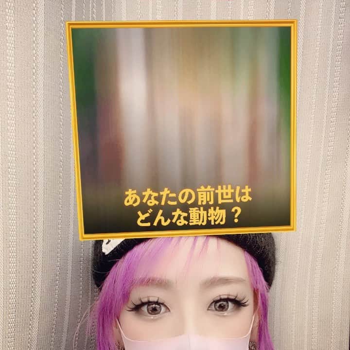 大谷雅恵のインスタグラム：「お気楽動画です:-)  #くまがすき」