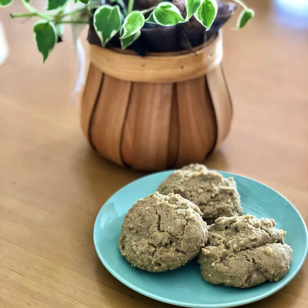 永井葉月さんのインスタグラム写真 - (永井葉月Instagram)「. . Hazu'kitchen👩‍🍳✨ 　　　　　　〜Hot biscuits〜 . @shirasakichakai さんのレシピから 少しアレンジして作った "ヘンプホットビスケット" こんなにも簡単で美味しいレシピ 米粉を使ったグルテンフリースイーツ✨ 私はヘンプパウダーと ヘンプシードを入れてみたよ‼️ 外はサクサク中はふわふわ食感 最高なおやつになりました💗 . . #hazukitchen #ハヅキッチン  #グルテンフリーレシピ #米粉レシピ  #優しい味 #罪悪感なし #簡単レシピ  #hotbiscuits #ホットビスケット  #vegansweets #vegan  #ヴィーガンレシピ #ヴィーガンスイーツ」12月13日 15時45分 - hazuki815hazuki