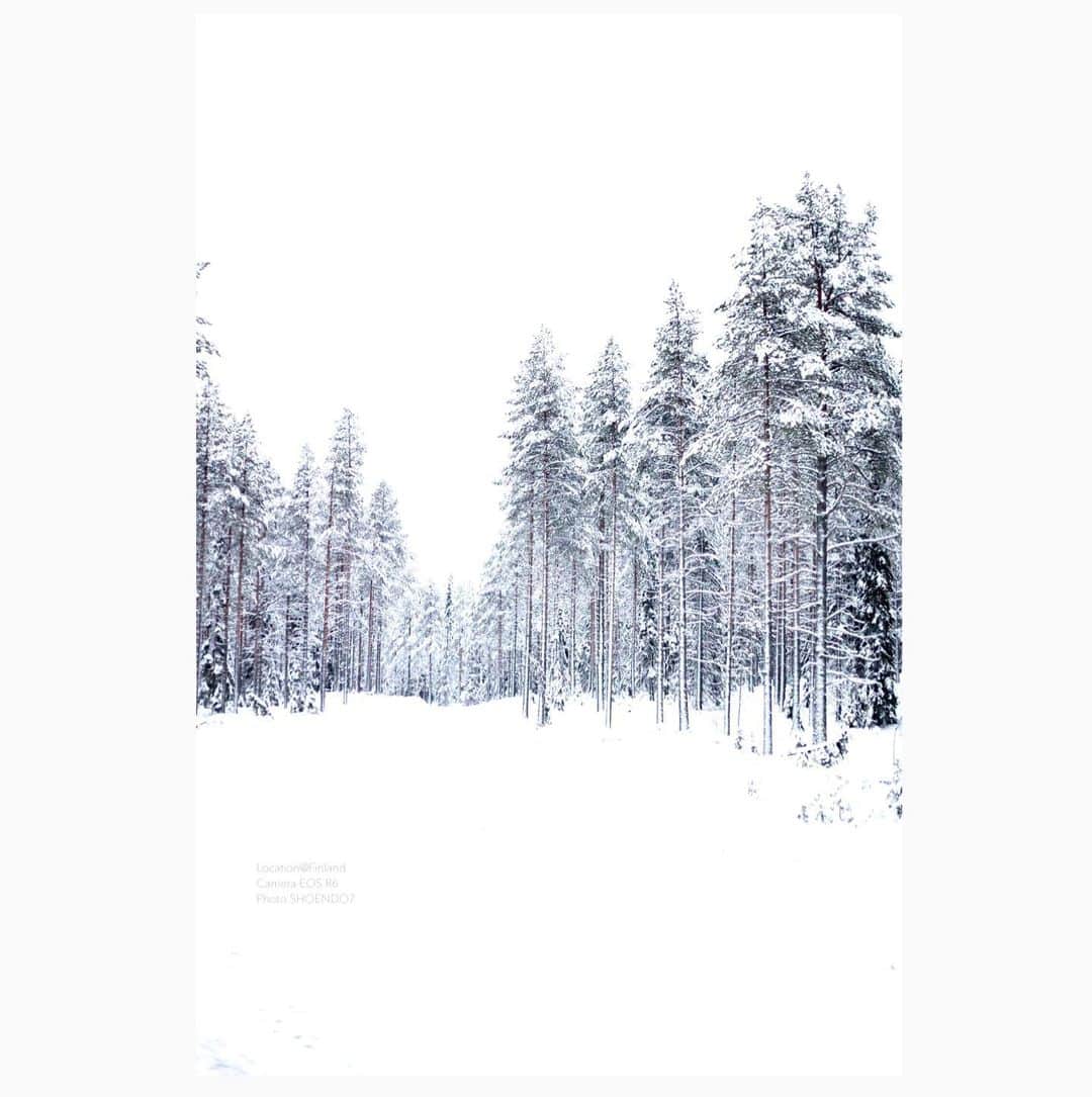 遠藤尚さんのインスタグラム写真 - (遠藤尚Instagram)「Location@Finland Ｃamera EOS R6  50mm f 1.8  フィンランドの冬の色  #photography  #冬 #雪色 #Finland #igjapan  #雪化粧 #真っ白 #eosr6  #canonphotography  #canon」12月13日 15時59分 - shoendo7