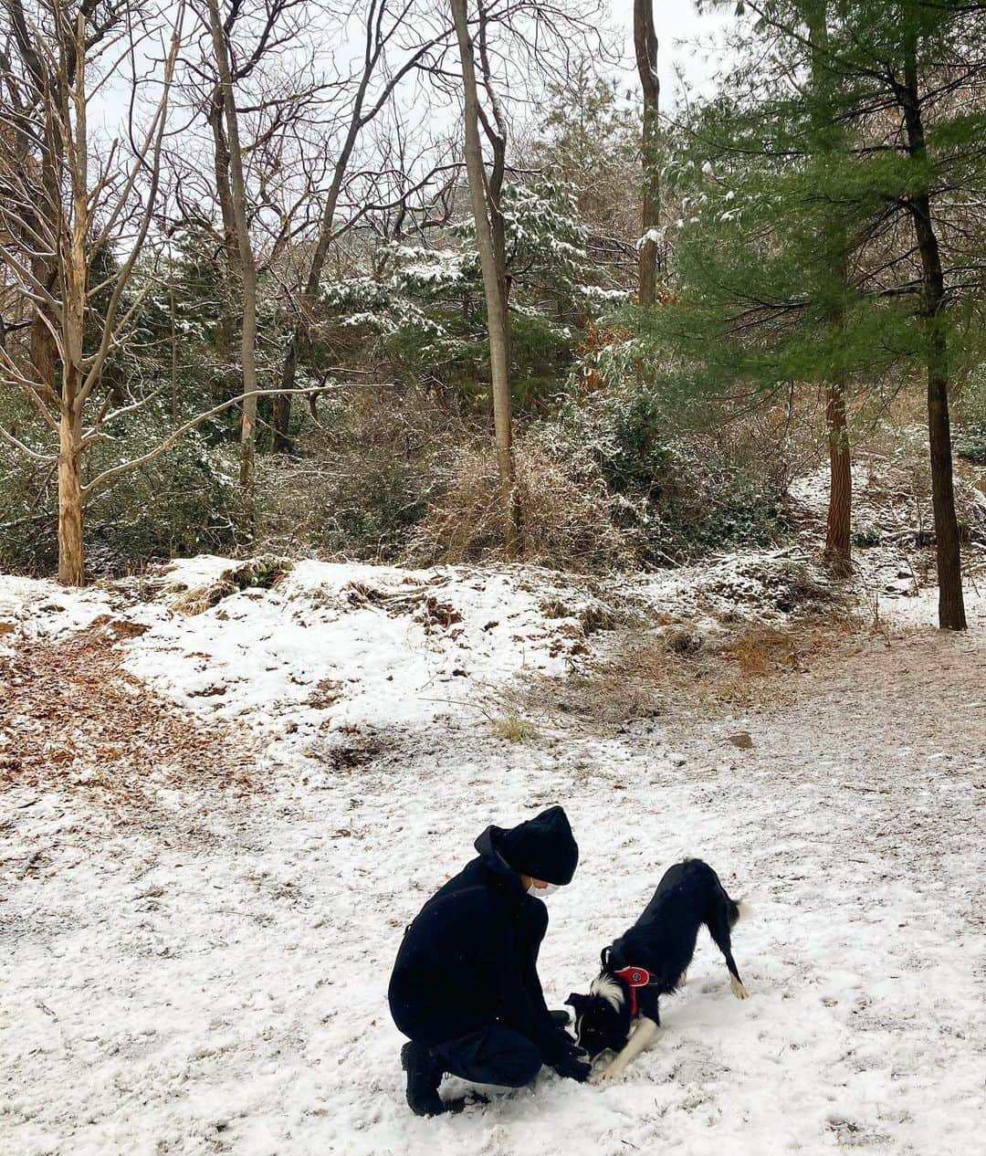 イ・ホジョンさんのインスタグラム写真 - (イ・ホジョンInstagram)「첫눈 ❄️」12月13日 16時00分 - holly608