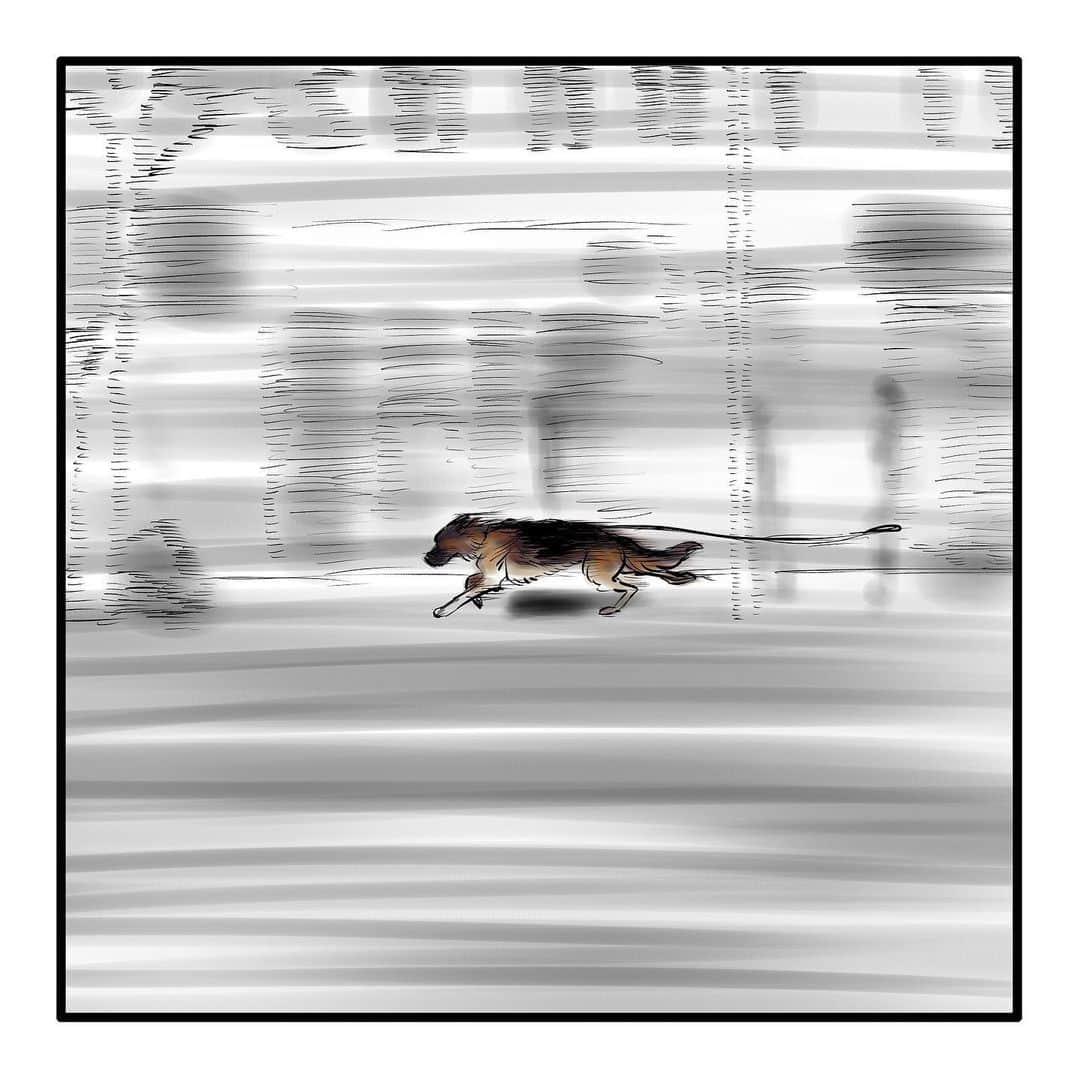 てらりんさんのインスタグラム写真 - (てらりんInstagram)「『ゴボウ』⑮ #漫画 #マンガ #まんが #インスタ漫画 #創作 #コミック #イラスト #犬 #シェパード #ゴボウ #manga #comic #illustration #art #drawing #dog #germanshepherd #alsatian #gobo」12月13日 16時14分 - terarin08