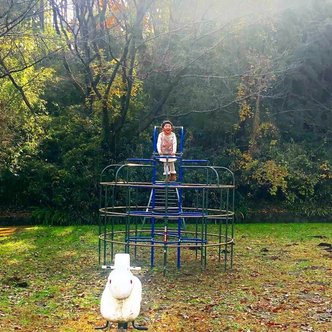 新井美穂さんのインスタグラム写真 - (新井美穂Instagram)「今日は朝から娘と初めて#蓮生寺公園 へお出かけ〜！ 京王堀之内から徒歩15分くらいの場所にこんな自然に囲まれたいい公園があるなんて❤️ 大満喫の娘は、道中木の枝、どんぐり、枯葉を拾って「これおうちで製作に使うから」と、沢山持って帰ってきて ほんまにやめて欲しい〜。 家が散らかるしかない😭  だけど持って帰ってきて、ほんと楽しそうに何やら色々作っている娘見てるとやめろとは言えないよね😅（笑） そんなこんなで今日も#楽しい休日 でした〜❤️ #娘4歳6ヶ月#週末お出かけ」12月13日 16時34分 - arai_miho