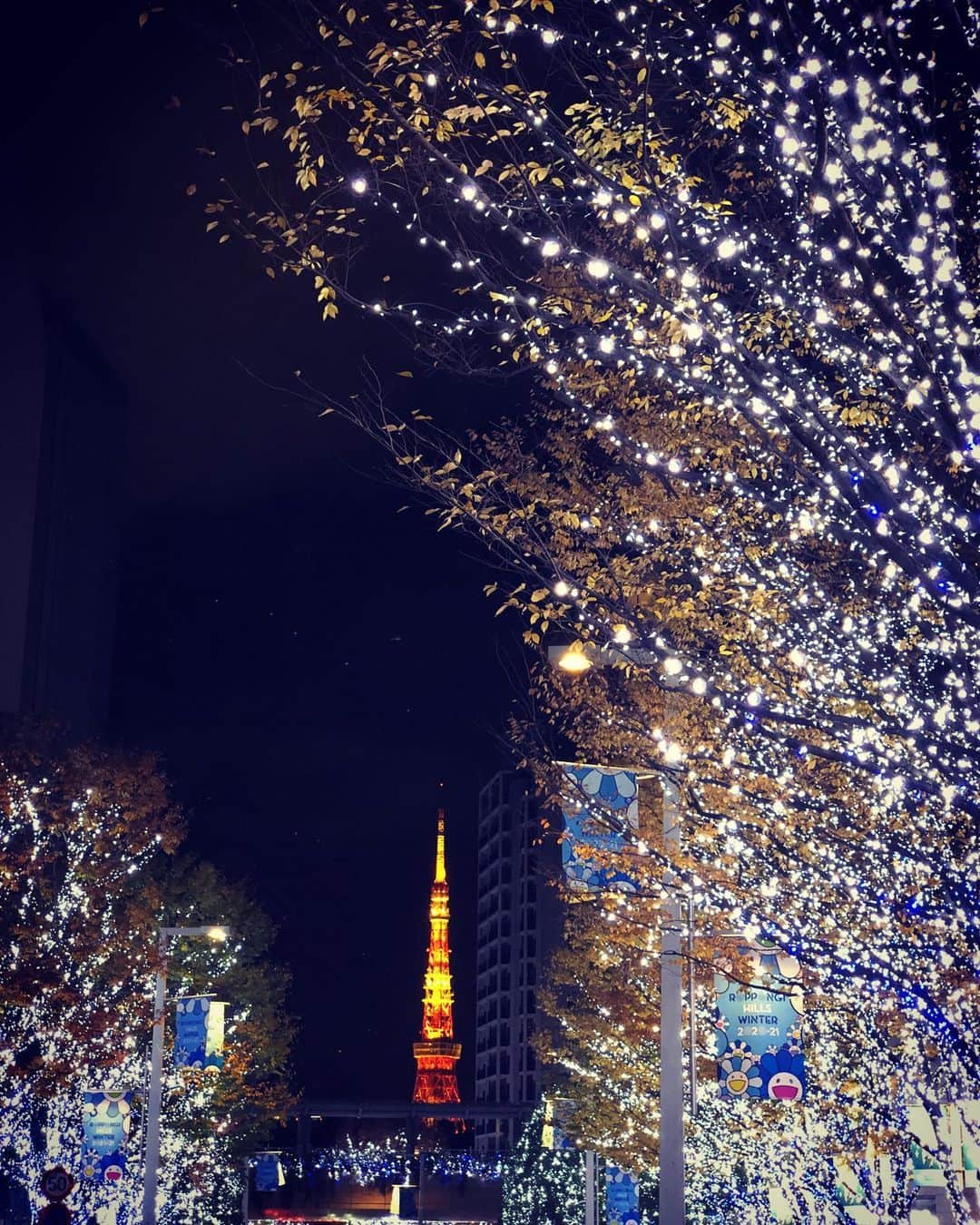 内田恭子さんのインスタグラム写真 - (内田恭子Instagram)「食べすぎた日のウォーキング。毎年この時期見る光景だけれど、やっぱりときめく。一万歩目指して歩くのだー！  #東京 #tokyo #ilovetokyo #万歩計と睨めっこ　#気持ちがいい #ウォーキング #内田恭子 #kyokouchida」12月13日 16時41分 - kyoko.uchida.official