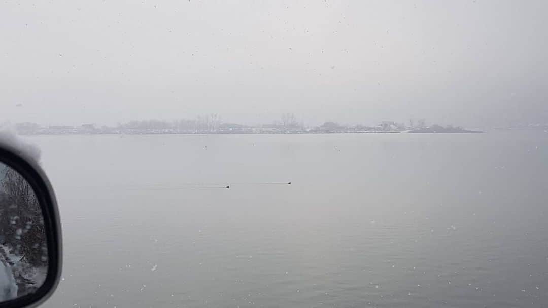 イヨンさんのインスタグラム写真 - (イヨンInstagram)「2020.12.13 눈오는날 ❄☃️ 안개낀 호수의 한쌍의 오리 🦆  #snow #duck  #drive #lifeisgood #snowman」12月13日 17時34分 - e_young0816