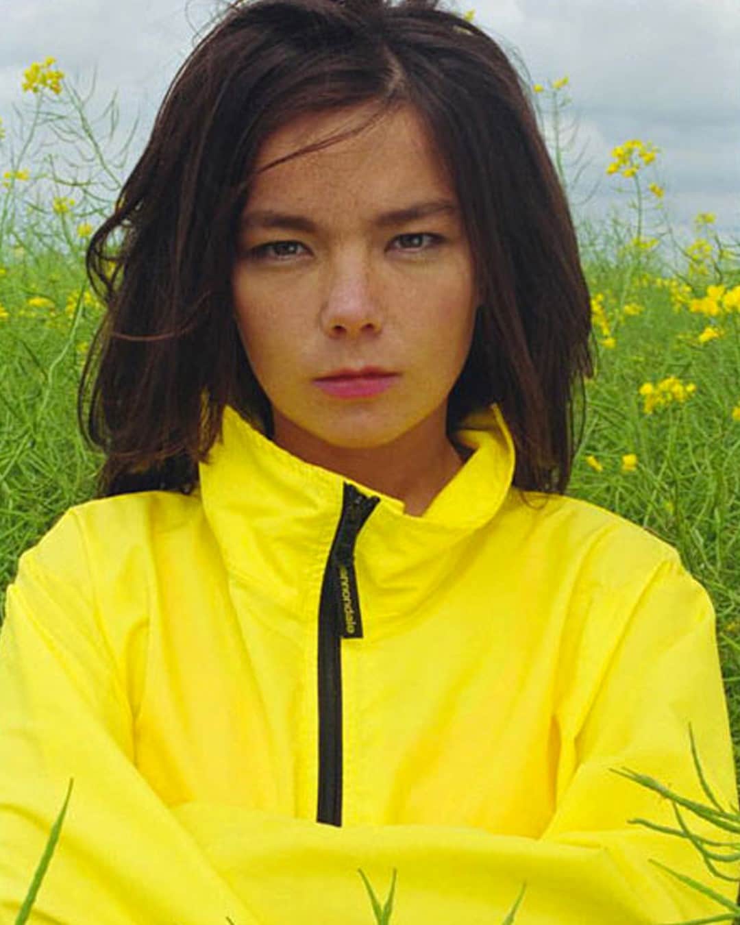 エルエヌシーシーのインスタグラム：「LN-CC Inspiration: Bjork shot by Rankin 1994. #Archive」