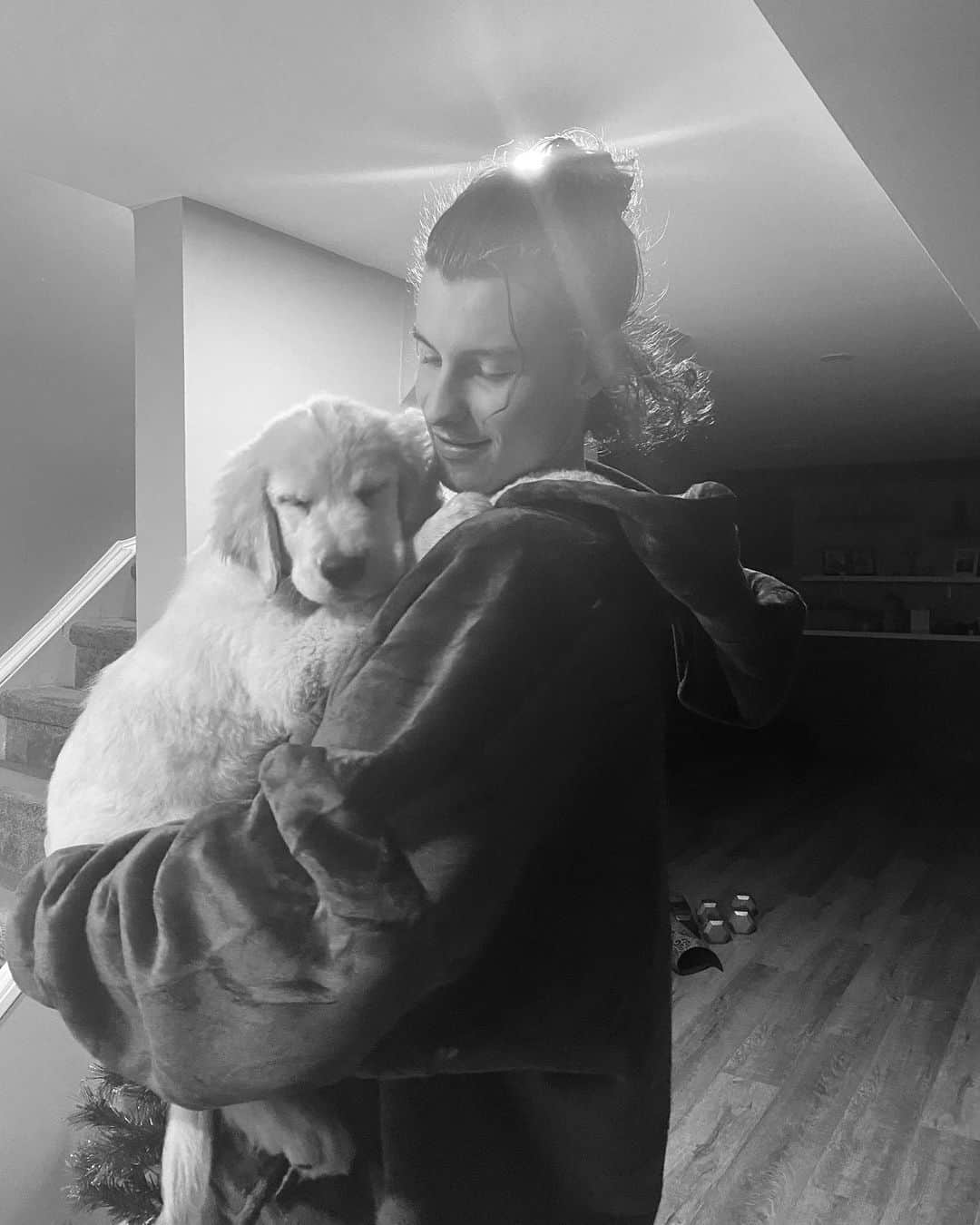 ショーン・メンデスのインスタグラム：「I mean comeawn. Sweet Christmas puppy boy」