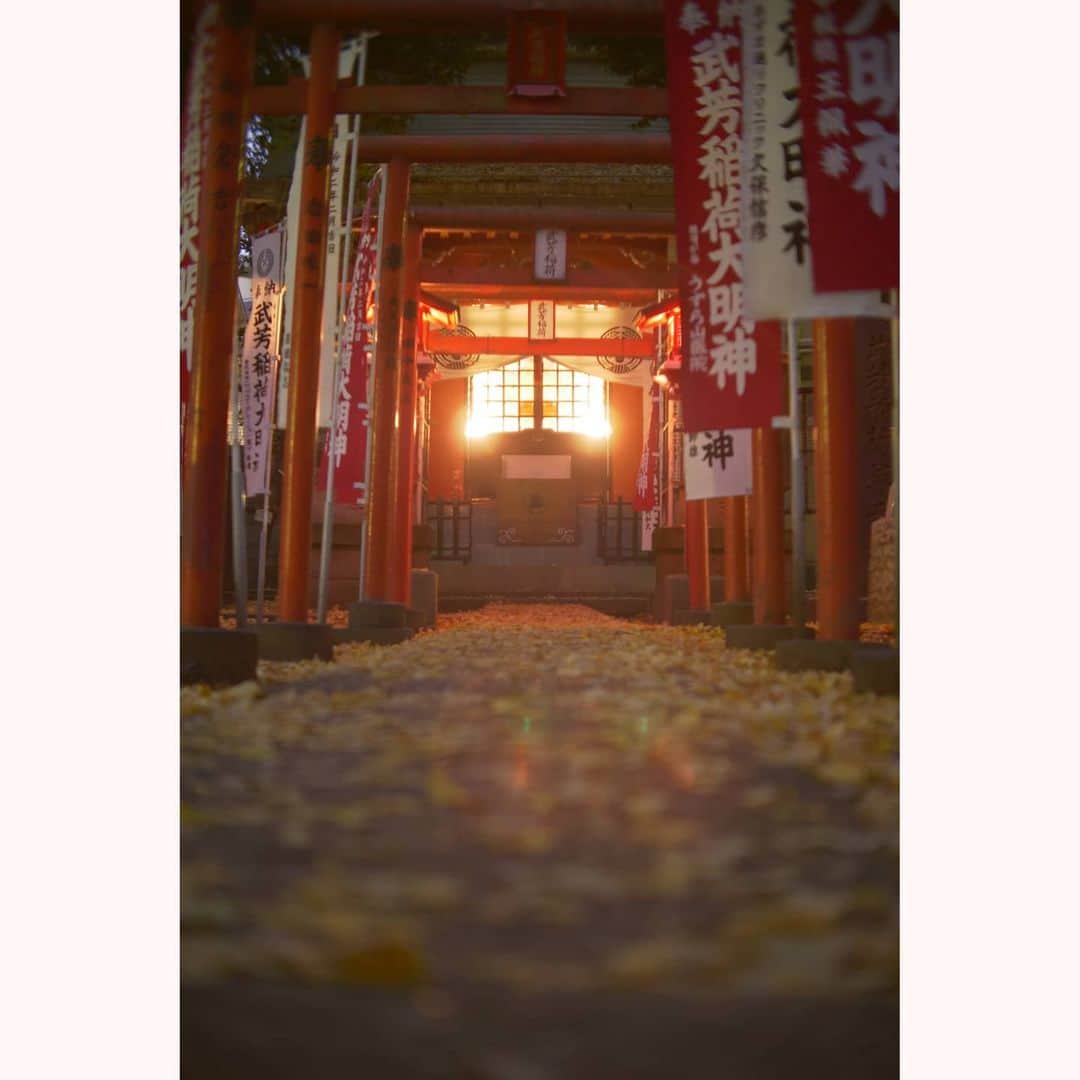 花澄のインスタグラム