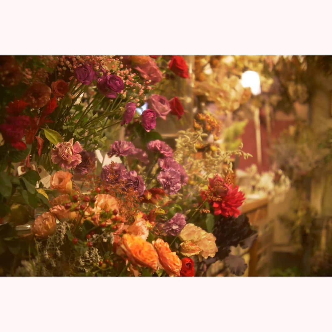 花澄さんのインスタグラム写真 - (花澄Instagram)「久しぶりに花園へ。 お花の癒し効果はすごいね。 ニコニコ男子たちは 今日ももれなくニコニコしてた。 ランプシェードがかわいい！って言ったら 裏側もかわいいの！だって。  macro switar 26mm f1.1 LUMIX GH5  #tokyo#japan#switar#macroswitar#macroswitar26mm#oldlens#cinelens#オールドレンズ#シネレンズ#oldlens_tokyo#花澄#tokyocameraclub#kazumiphotography#ジャルダンノスタルジック#jardinnostalgique」12月13日 19時49分 - textisan