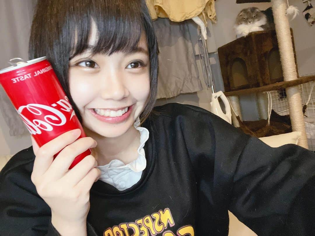 谷藤海咲のインスタグラム：「コカコーラとネコ」