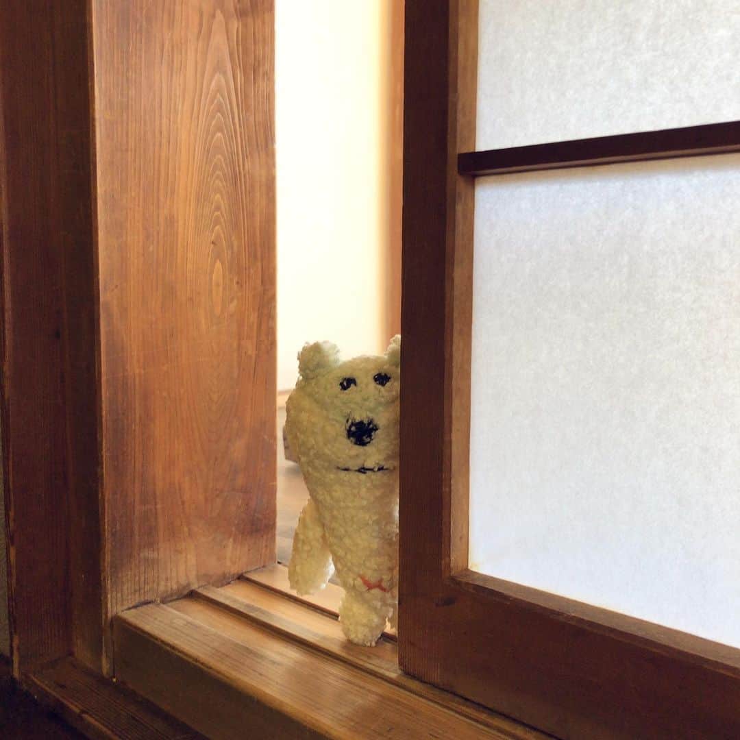 合田経郎のインスタグラム：「明日から真冬の寒さだってさ。 #あおしろう」