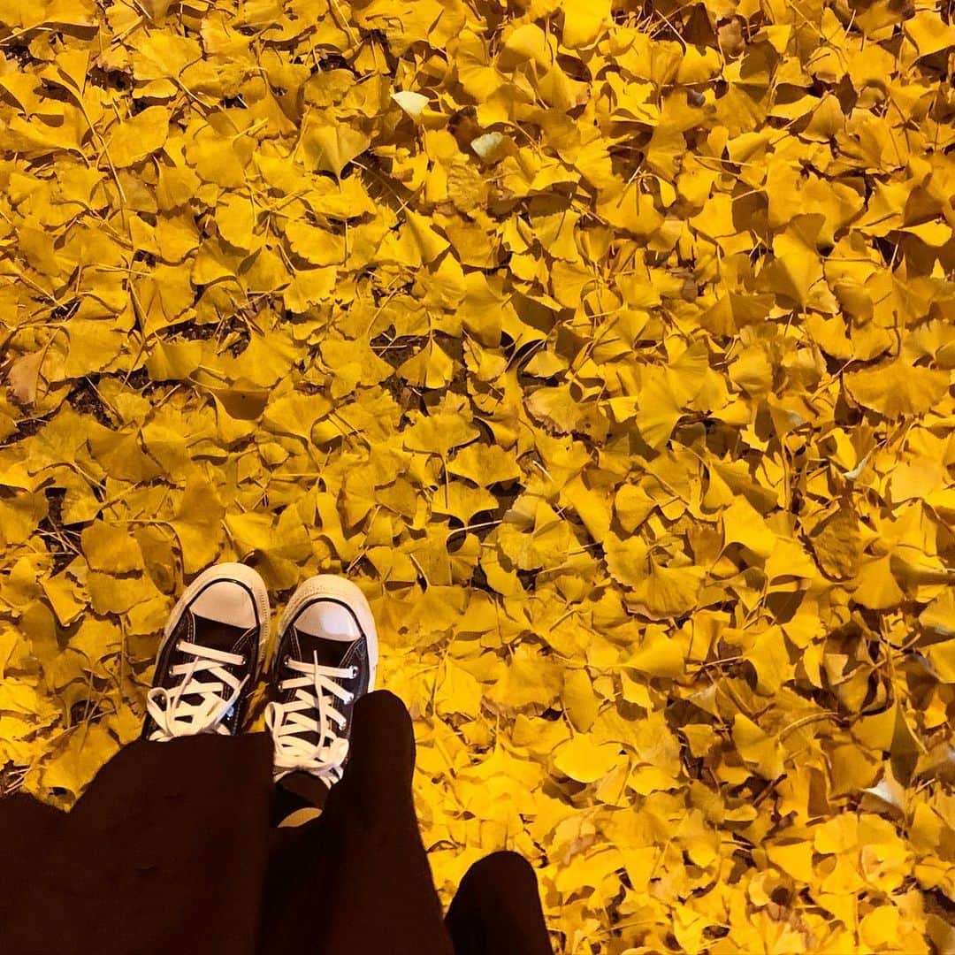 岡野綾夏さんのインスタグラム写真 - (岡野綾夏Instagram)「黄色いじゅうたん🟡 . #いちょうの木 #黄色いじゅうたん #もう冬だね  #福岡」12月13日 20時28分 - ayaka.o531