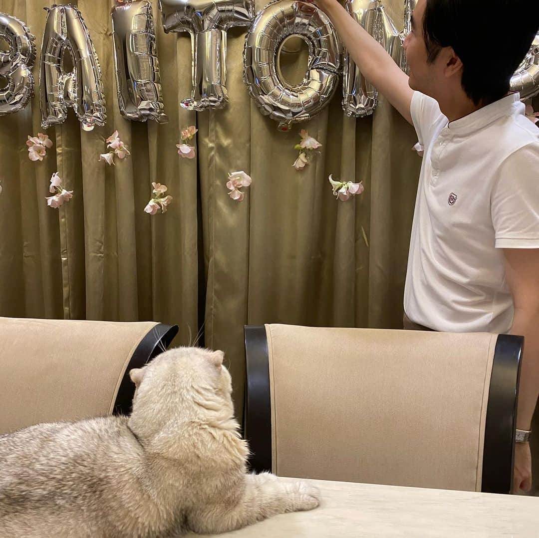 Haruのインスタグラム：「Learning English alphabets. 🤓 #ใดๆคือมองตามทุกตัว」