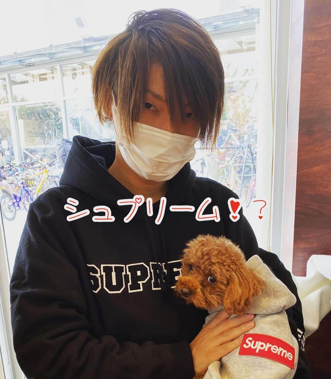 ひらのっちのインスタグラム：「おそろ✨😙🐶  #シュプリーム #supreme #トイプードル #犬好きな人と繋がりたい」